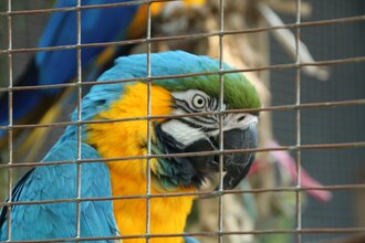 Vogelpark Altlußheim | © Landratsamt Rhein-Neckar-Kreis