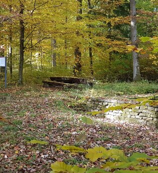 Wachtturm 8/25 Barnholz