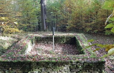 Wachtturm 8/25 Barnholz