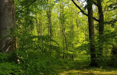 Regina Huwald | Märchenerzählerin und Puppenspielerin im HeilbronnerLand | © Regina Huwald