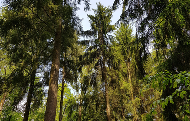 Regina Huwald | Märchenerzählerin und Puppenspielerin im HeilbronnerLand | © Regina Huwald