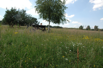 Naturdenkmal Waldheide Heilbronn | HeilbronnerLand | © Touristikgemeinschaft HeilbronnerLand