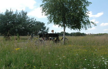 Naturdenkmal Waldheide Heilbronn | HeilbronnerLand | © Touristikgemeinschaft HEilbronnerLand