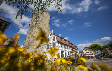 Waldhornturm Besigheim | © Stadt Besigheim