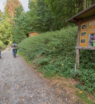 Zwei Radfahrer mit Schautafel des Waldlehrpfads und Bäume