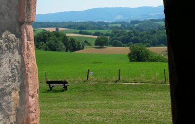 Waldnerturm | © Landratsamt Rhein-Neckar-Kreis