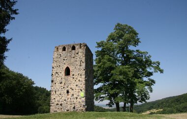 Waldnerturm | © Landratsamt Rhein-Neckar-Kreis