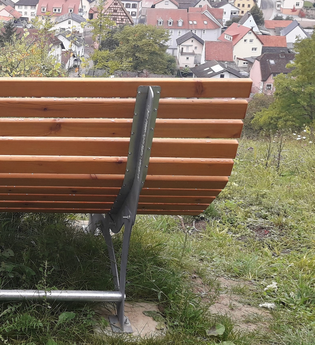 Blick auf die Rückseite eines Waldsofas auf einer Wiese | © Stadt Sinsheim