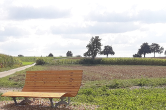 Blick auf ein Waldsofa am Feldrand | © Stadt Sinsheim