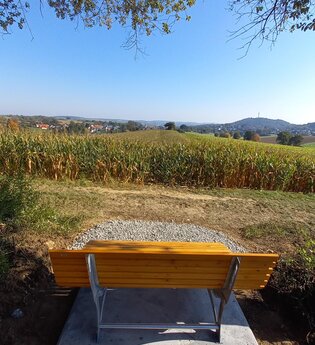 Waldsofa am Rand eines Maisfeldes mit Blick auf den Kraichgau | © Stadt Sinsheim