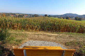 Waldsofa am Rand eines Maisfeldes mit Blick auf den Kraichgau | © Stadt Sinsheim