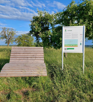 Waldsofa aus Holz in einer grünen Wiese unter blauem Himmel | © Alisa-Heimat-erleben