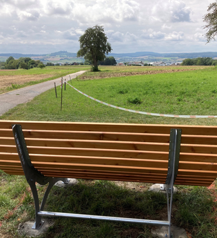 Waldsofa Rohrbach | © Stadt Sinsheim