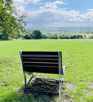 Waldsofa Schwarzach | © Stadt Sinsheim