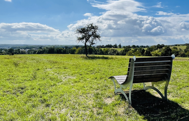 Waldsofa Schwarzach | © Stadt Sinsheim