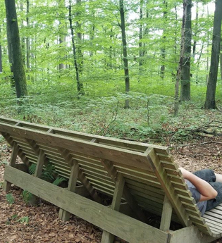 Waldsofa im Wald | © Stadt Waibstadt