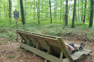 Waldsofa im Wald | © Stadt Waibstadt