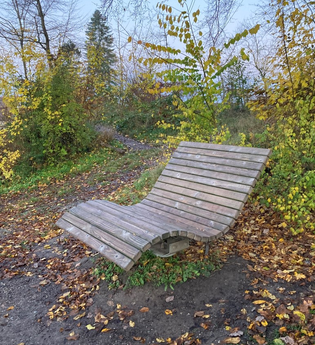 Waldsofa in herbstlicher Umgebung