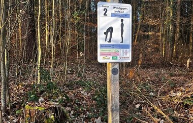 Schild Station 2 des Waldsportpfades vor Bäumen und Laub