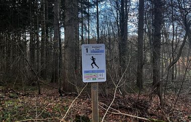 Schild Station 1 des Waldsportpfades vor Bäumen und Laub