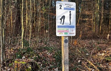 Schild Station 2 des Waldsportpfades vor Bäumen und Laub