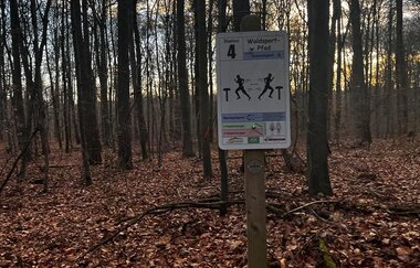 Schild Station 4 des Waldsportpfades vor Bäumen und Laub