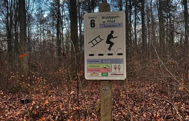 Schild Station 6 des Waldsportpfades vor Bäumen und Laub