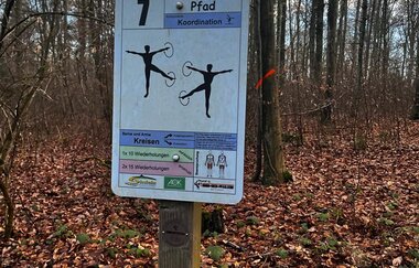 Schild Station 7 des Waldsportpfades vor Bäumen und Laub