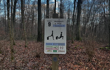 Waldsportpfad Hasenlauf