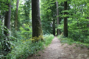 Wall und Graben in Zweiflingen-Pfahlbach | © Hohenloher Perlen