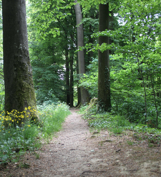 Wall und Graben in Zweiflingen-Pfahlbach | © Hohenloher Perlen