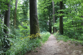 Wall und Graben in Zweiflingen-Pfahlbach | © Hohenloher Perlen