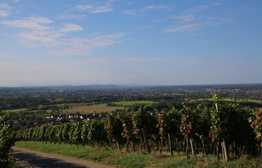 Wallfahrtskapelle Letzenberg und Aussichtspunkt (247 m) | © Beate Otto