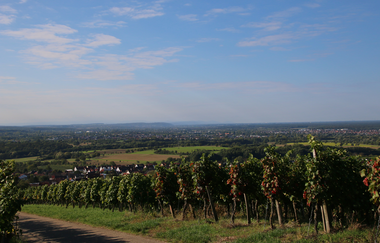 Wallfahrtskapelle Letzenberg und Aussichtspunkt (247 m) | © Beate Otto