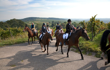 Wallfahrtskapelle Letzenberg und Aussichtspunkt (247 m) | © Dorothea Burkhardt