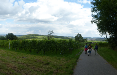 Wallfahrtskapelle Letzenberg und Aussichtspunkt (247 m) | © Beate Otto