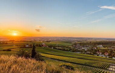 Aussicht vom Michaelsberg Cleebronn im Sonnenuntergang | © Neckar-Zaber-Tourismus e.V.