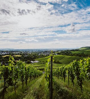Wanderparkplatz Am Sattel | Heilbronn, Weinsberg | © Weingut Schäfer-Heinrich, Nico Kurth
