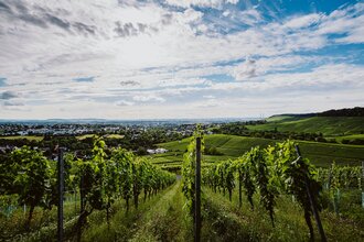Wanderparkplatz Am Sattel | Heilbronn, Weinsberg | © Weingut Schäfer-Heinrich, Nico Kurth