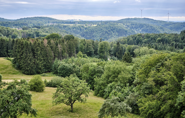 Steinknickle mit Aussichtsturm, Grill- & Rastplatz | Wüstenrot-Neuhütten | HeilbronnerLand | © Touristikgemeinschaft HeilbronnerLand