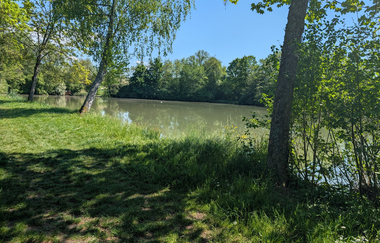 Leberbrunnensee - Fleiner See im Deinenbachtal | © Touristikgemeinschaft HeilbronnerLand