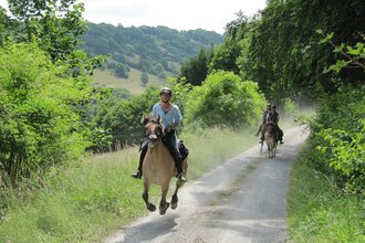 Wanderreiten Hohenlohe | © Touristikgemeinschaft Hohenlohe, Künzelsau