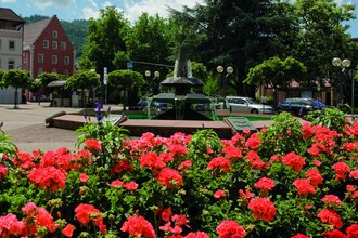 Wappenbrunnen | © Stadt Eberbach