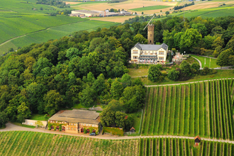 Weinberglandschaft am Heilbronner Wartberg | © Heilbronn Marketing GmbH