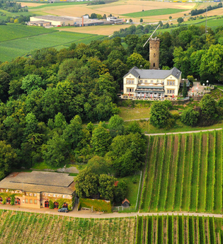 Weinberglandschaft am Heilbronner Wartberg | © Heilbronn Marketing GmbH