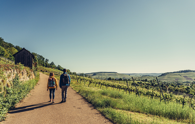 am Württembergischen WeinWanderWeg | HeilbronnerLand | © Touristikgemeinschaft HeilbronnerLand e.V.