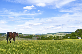 Impressionen aus dem Autal | Obersulm | HeilbronnerLand | © Tourismus im Weinsberger Tal