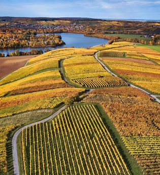 Herbstliche Weinlandschaft am Breitenauer See | HeilbronnerLand | © Tourismus im Weinsberger Tal