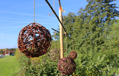 Weidenlehrpfad Kleingartach | © Stadt Eppingen