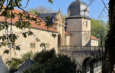 Blick auf den Schlosseingang in Weikersheim an einem sonnigen Tag. Das Bild ist umrahmt von einem von Zweigen durchzogenen Torbogen.